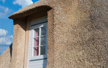 Sunbrick thatch roof disadvantages